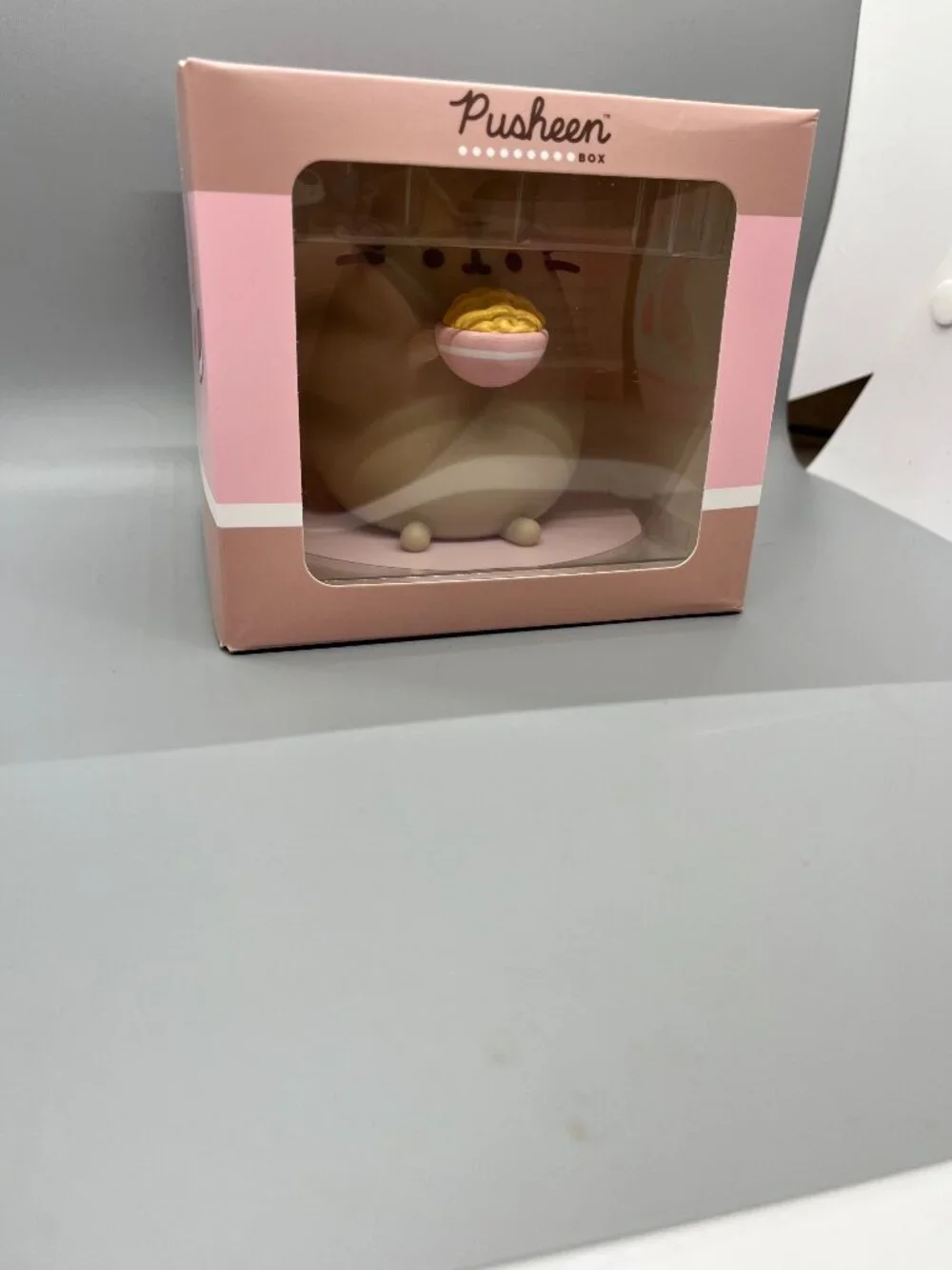 NIB Exclusive Pusheen with Ramen Vinyl Figure from Spring 26 Pusheen Box